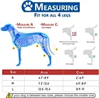 Canine cruciate ligament brace